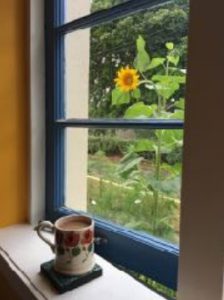 The Holidays Just Past