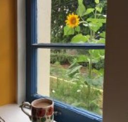 Mentor’s January/February Newsletter