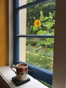 The Holidays Just Past